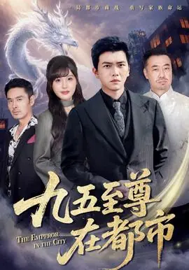 九五至尊在都市海报
