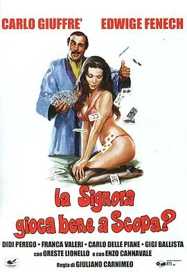 偷偷摸摸海报