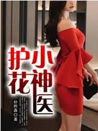 护花小神医海报