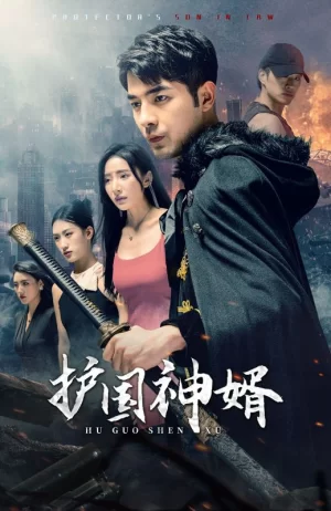 护国神婿海报