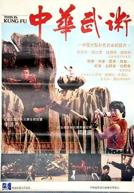 中华武魂海报