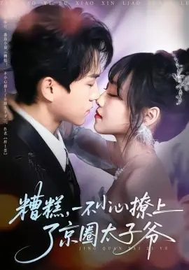 糟糕,一不小心撩上了京圈太子爷海报