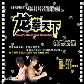 龙拳天下海报