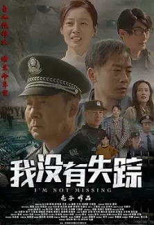 我没有失踪海报