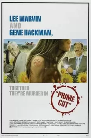 双龙大火拼海报