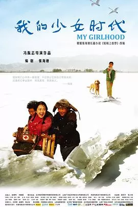 我的少女时代海报