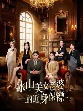 冰山美女老婆的近身保镖海报