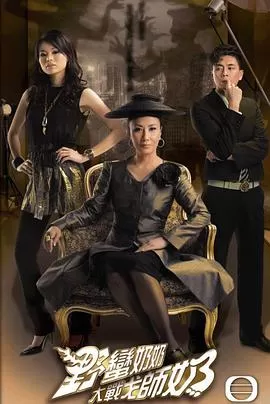 野蛮奶奶大战戈师奶(国语)海报