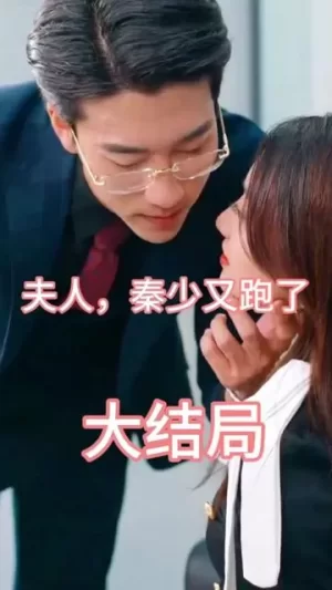 夫人,秦少又跑了海报