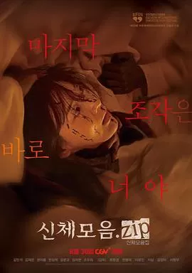 身体集合.zip海报