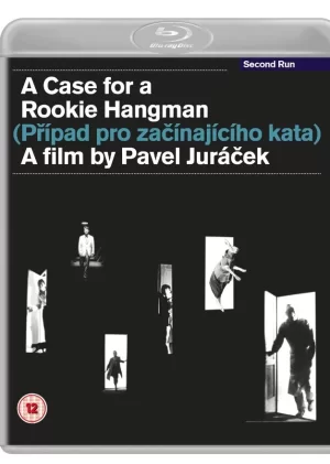 切尔诺比拉·西尔瓦海报