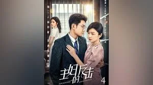 绝望主妇的反击海报