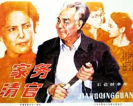 家务清官海报