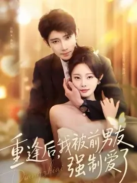重逢后,我被前男友强制爱了海报