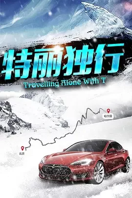 特丽独行2016海报