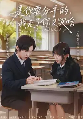 是你要分手的,我走了你又哭啥海报