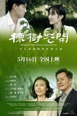 楝树花开海报