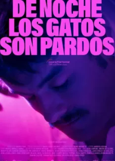晚上所有的猫都是黑的海报