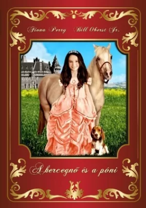 精灵马与公主海报