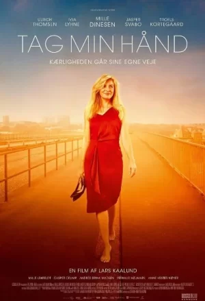 抓住我的手海报