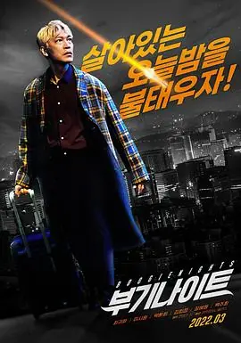 不羁夜2022부기나이트海报