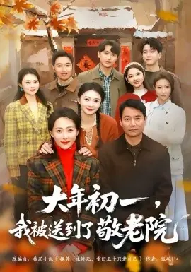 大年初一,我被送到了敬老院海报