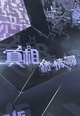真相猜&middot;情&middot;寻海报