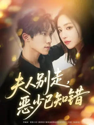 夫人别走恶少已知错海报