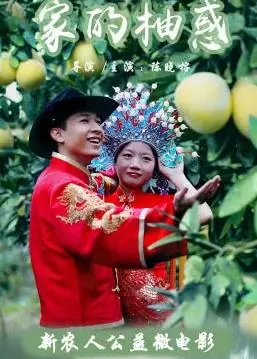 家的柚惑海报