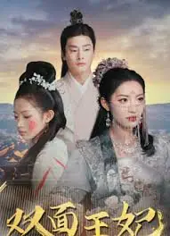 双面王妃海报