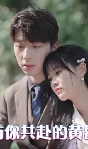 与你共赴的黄昏海报