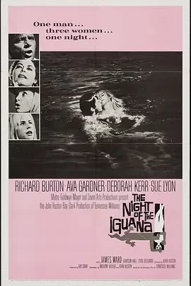 巫山风雨夜海报