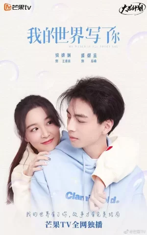 我的世界写了你海报