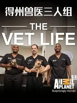 德州兽医三人组第一季海报