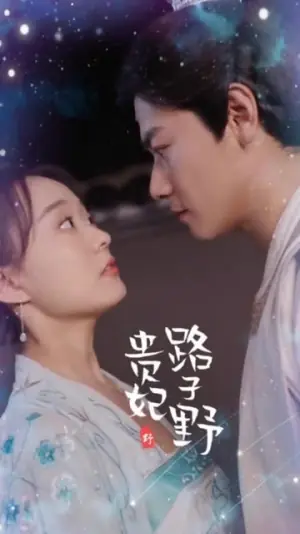 贵妃路子野海报