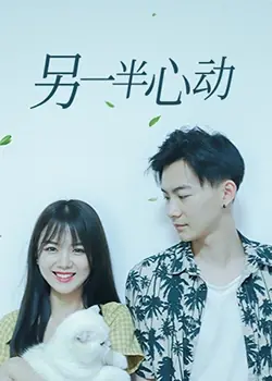 另一半心动海报
