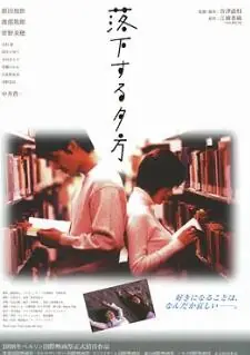 沉落的黄昏海报