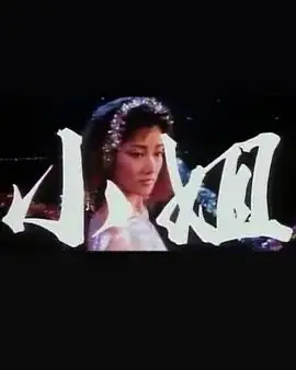小姐自动献身海报