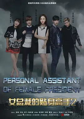 女总裁的贴身高手2海报