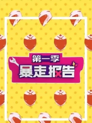 暴走报告第一季海报
