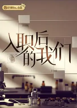 入职后的我们海报