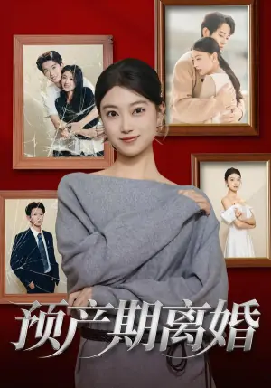 预产期离婚海报