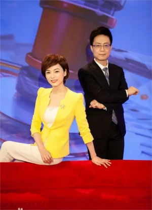 金牌调解2012海报