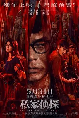 私家侦探(粤语)海报