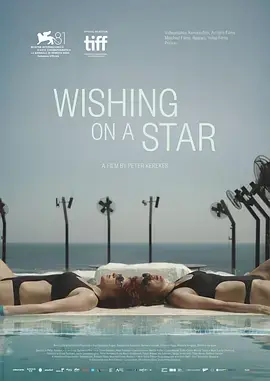 对着星星许愿海报