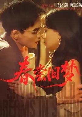 春尝旧梦海报