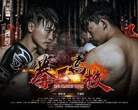 拳王高校海报