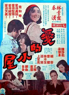 爱的小屋海报