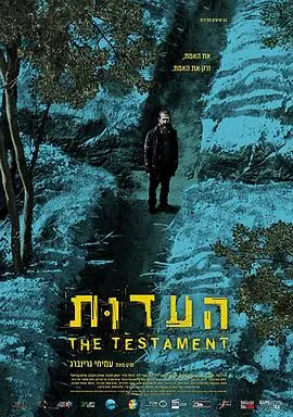 证言TheTestament海报