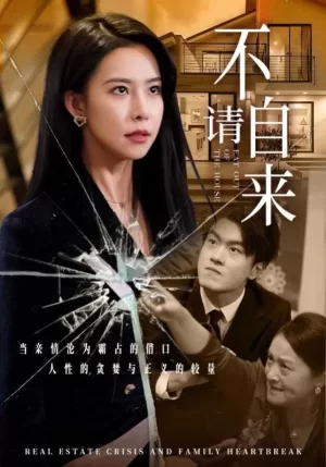 不请自来海报